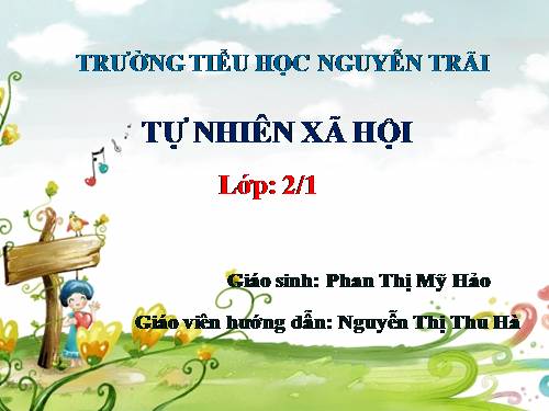 Bài 28. Một số loài vật sống trên cạn