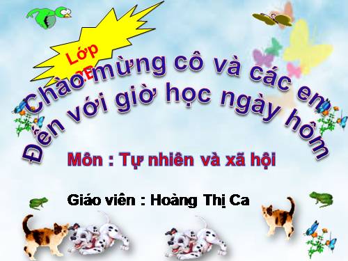 Bài 27. Loài vật sống ở đâu?