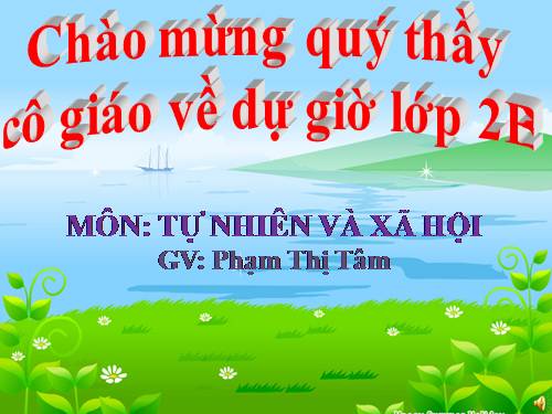 Bài 13. Giữ sạch môi trường xung quanh nhà ở