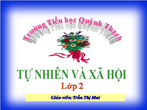 Bài 16. Các thành viên trong nhà trường