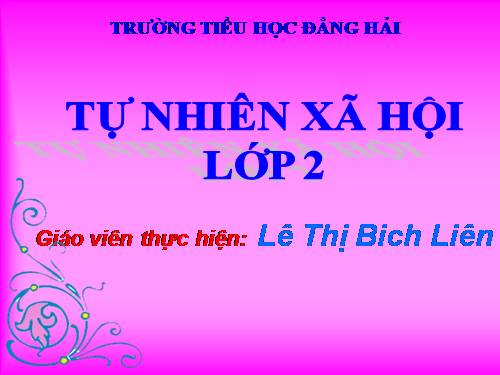 Bài 3. Hệ cơ