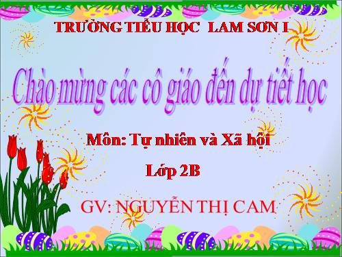 Bài 5. Cơ quan tiêu hoá