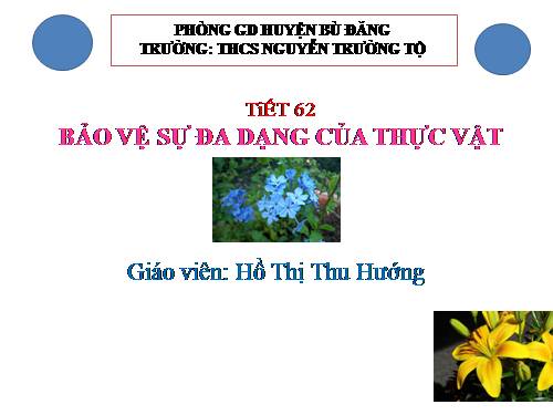 Bài 49. Bảo vệ sự đa dạng của thực vật