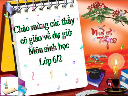 Bài 47. Thực vật bảo vệ đất và nguồn nước