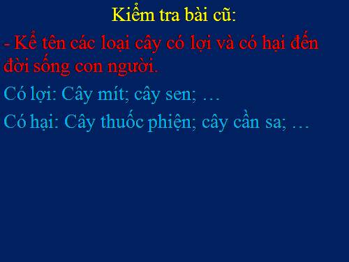 Bài 49. Bảo vệ sự đa dạng của thực vật