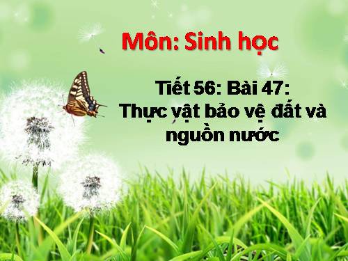 Bài 47. Thực vật bảo vệ đất và nguồn nước