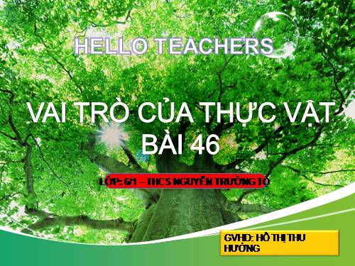 Bài 46. Thực vật góp phần điều hoà khí hậu