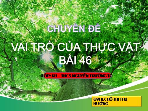 Bài 46. Thực vật góp phần điều hoà khí hậu