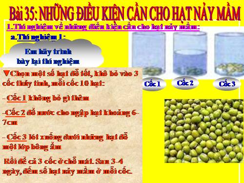 Bài 35. Những điều kiện cần cho hạt nảy mầm