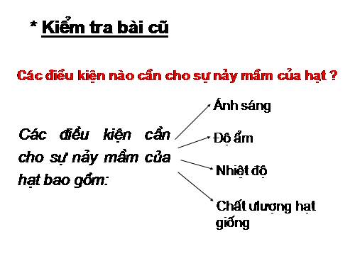 Bài 36. Tổng kết về cây có hoa