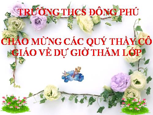 Bài 46. Thực vật góp phần điều hoà khí hậu