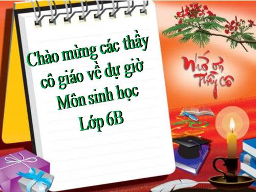 Bài 47. Thực vật bảo vệ đất và nguồn nước