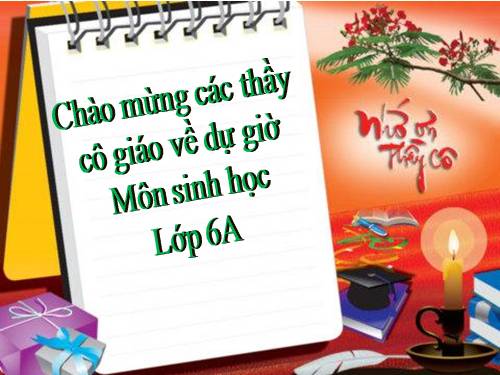 Bài 46. Thực vật góp phần điều hoà khí hậu