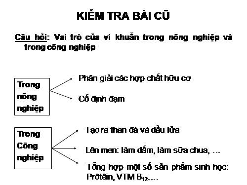 Bài 51. Nấm