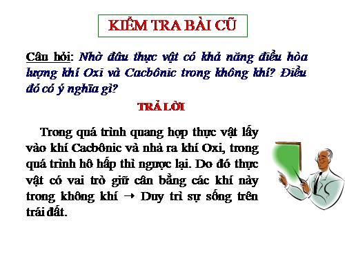 Bài 47. Thực vật bảo vệ đất và nguồn nước