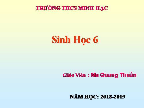 Bài 44. Sự phát triển của giới Thực vật