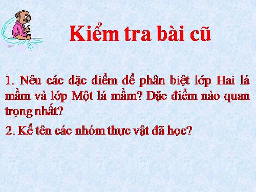 Bài 43. Khái niệm sơ lược về phân loại thực vật