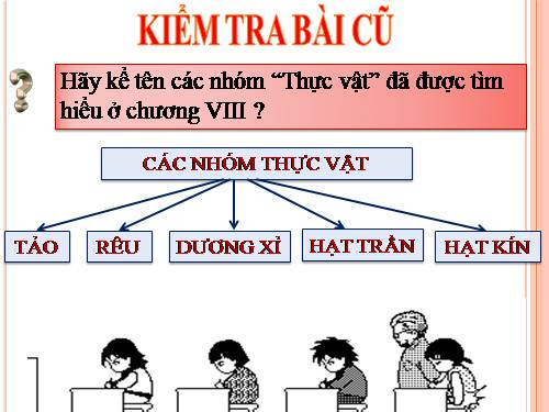 Bài 43. Khái niệm sơ lược về phân loại thực vật