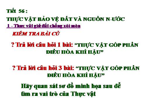 Bài 47. Thực vật bảo vệ đất và nguồn nước