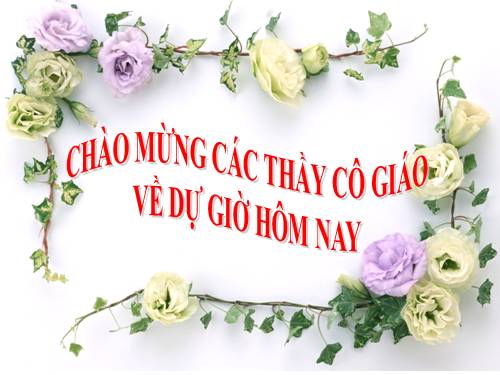 Bài 48. Vai trò của thực vật đối với động vật và đối với đời sống con người