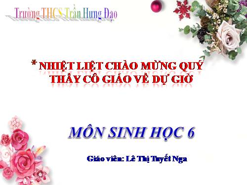 Bài 34. Phát tán của quả và hạt