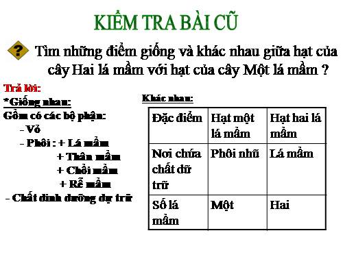 Bài 34. Phát tán của quả và hạt