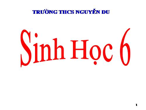 Bài 33. Hạt và các bộ phận của hạt