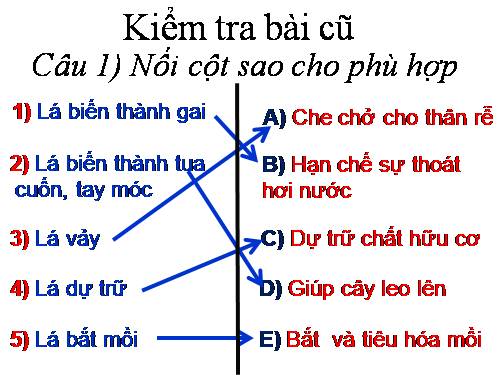 Bài 26. Sinh sản sinh dưỡng tự nhiên