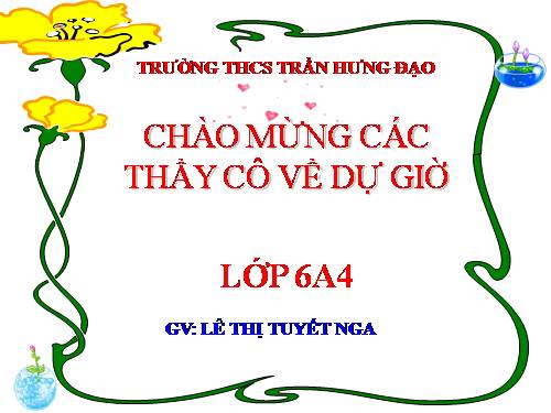 Bài 15. Cấu tạo trong của thân non