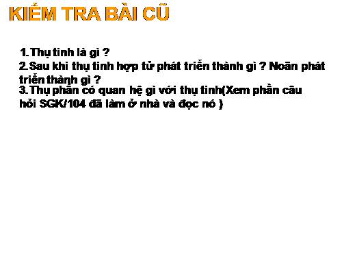 Bài 32. Các loại quả