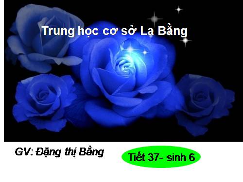 Bài 30. Thụ phấn