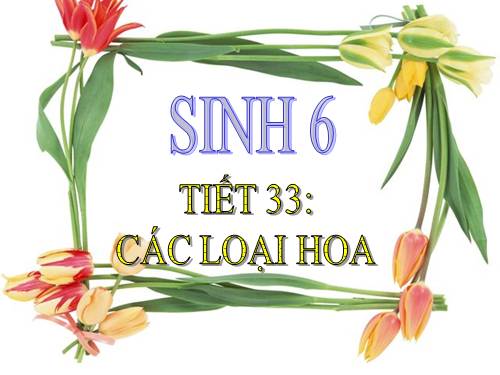 Bài 29. Các loại hoa