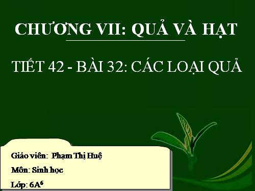 Bài 32. Các loại quả