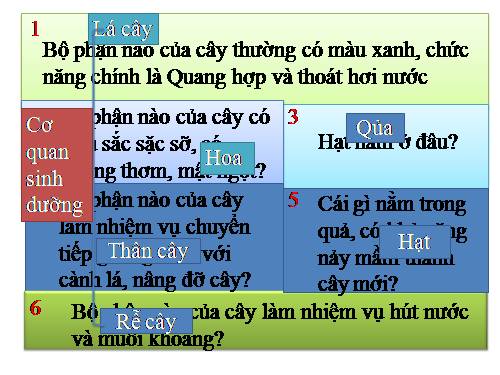 BAI CƠ QUAN SINH SẢN CỦA CÂY XANH