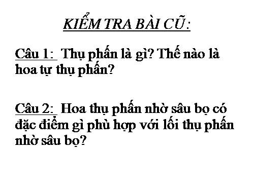 Bài 30. Thụ phấn