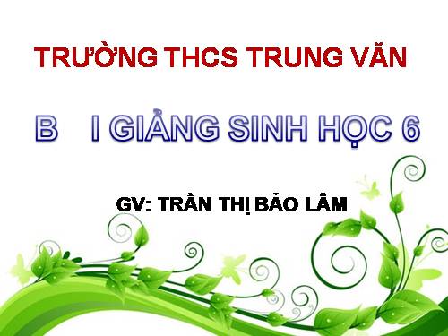 Bài 30. Thụ phấn