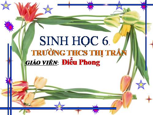 Bài 26. Sinh sản sinh dưỡng tự nhiên