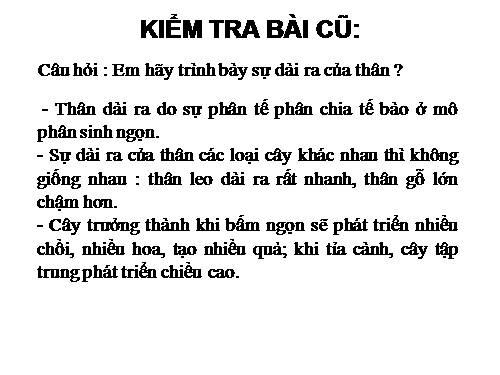 Bài 15. Cấu tạo trong của thân non