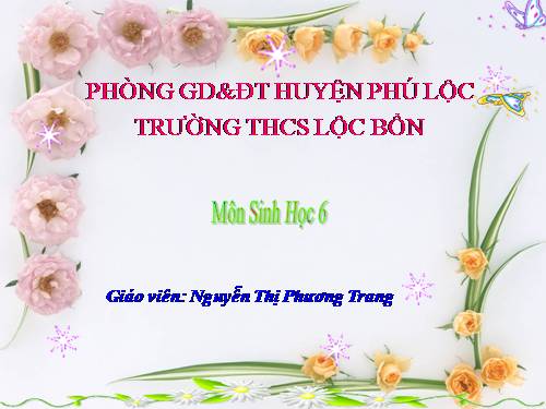 Bài 19. Đặc điểm bên ngoài của lá