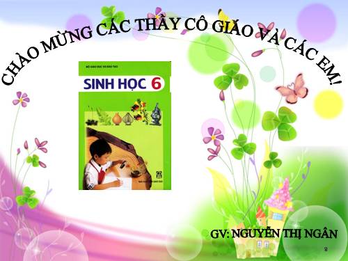 Bài 13. Cấu tạo ngoài của thân