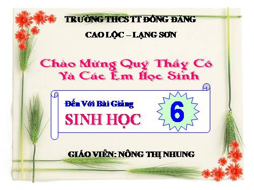 Bài 22. Ảnh hưởng của các điều kiện bên ngoài đến quang hợp, ý nghĩa của quang hợp