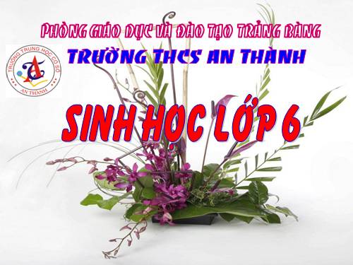 Bài 18. Biến dạng của thân