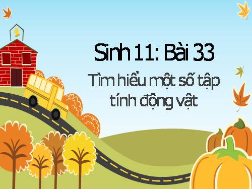 Bài 33. Thực hành: Xem phim về tập tính của động vật