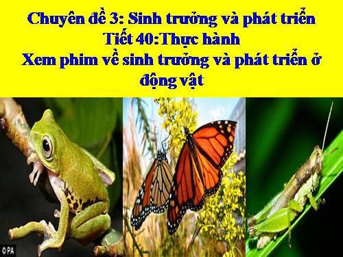 Bài 40. Thực hành: Xem phim về sinh trưởng và phát triển ở động vật