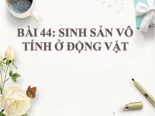 Bài 44. Sinh sản vô tính ở động vật