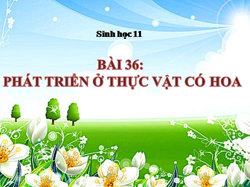 Bài 36. Phát triển ở thực vật có hoa