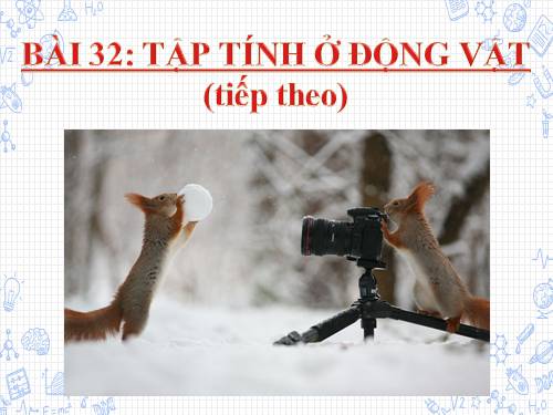 Bài 32. Tập tính của động vật (tiếp theo)