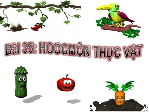 Bài 35. Hoocmôn thực vật