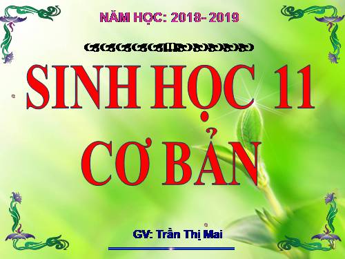 Bài 31. Tập tính của động vật