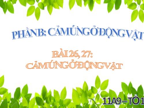 Bài 26. Cảm ứng ở động vật